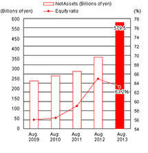 Net Assets and Equity Ratio