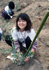 20071126olive_02.jpg