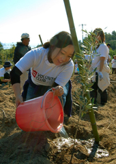 20071126olive_03.jpg