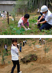 20071126olive_04.jpg