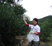 20071126olive_07.jpg