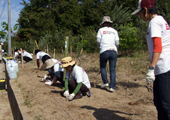 20071126olive_09.jpg
