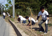 20071126olive_10.jpg