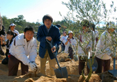 20071126olive_19.jpg