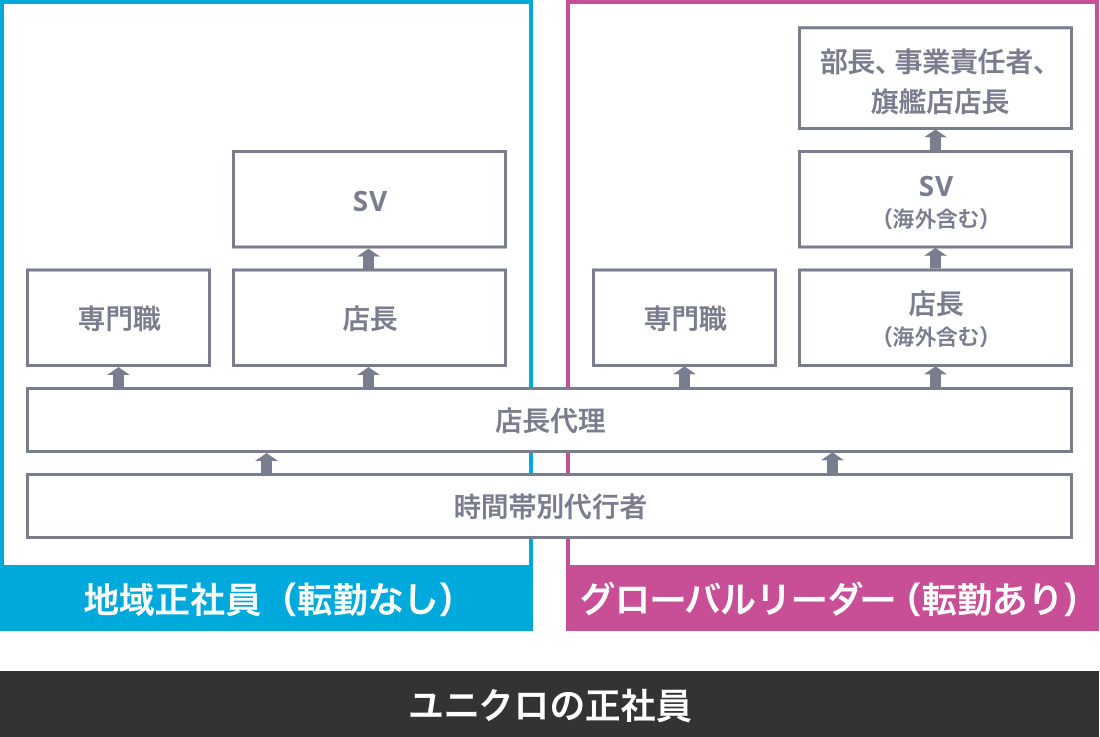 さらなるキャリアの広がり