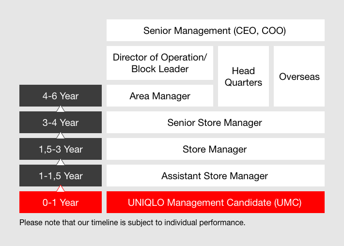 CAREER PATH