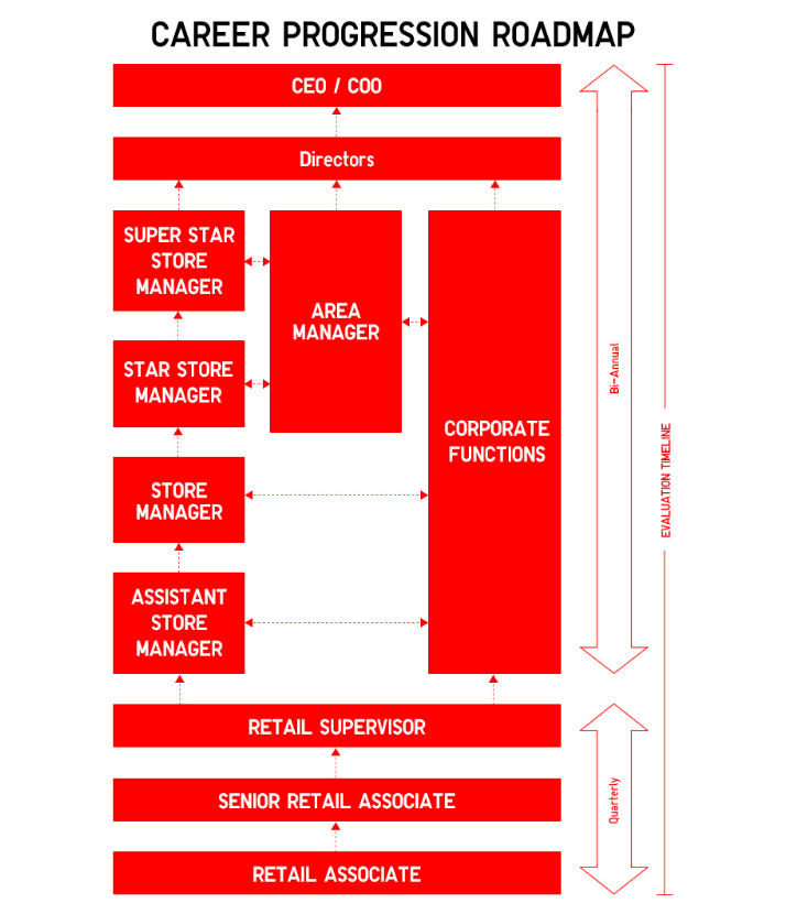 CAREER PROGRESSION ROADMAP