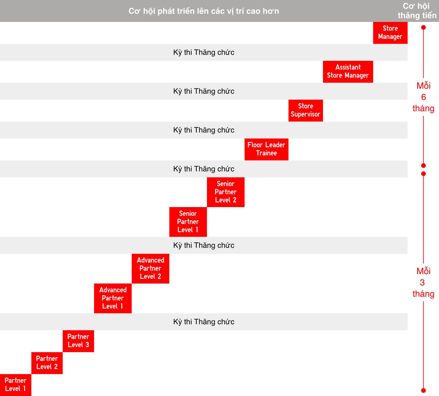 香港UNIQLO招聘兼職全職員工月薪13000 起兼職員工時薪50 Recruitment For Part time And Full Time  Staff  搵工小貼士TIPS  公務員職位求職技巧