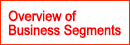 Overview of Business Segments