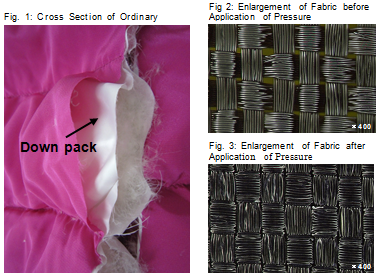 1010061600_image01.png