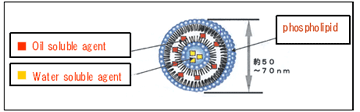 e20071127_2.gif